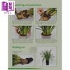 【中商原版】在家种兰花 Growing Orchids at Home 英文原版 Manos Kanellos Peter White 商品缩略图1