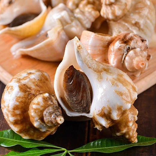 2288型-奢华海鲜 商品图5