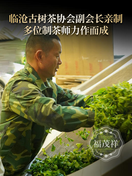 【冰岛母树】【茶后系列】重磅来袭 精选13棵冰岛老寨始祖级古树 2026年冰岛母树纯料普洱茶357g饼茶 商品图2