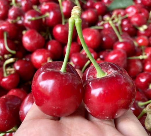 新疆车厘子 大樱桃 应季水果 商品图11