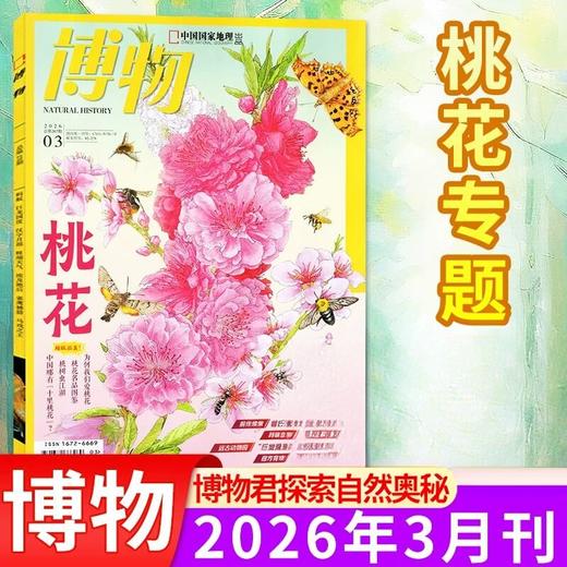 【季度现刊现货速发】想减少试错成本，就从试读开始 商品图6
