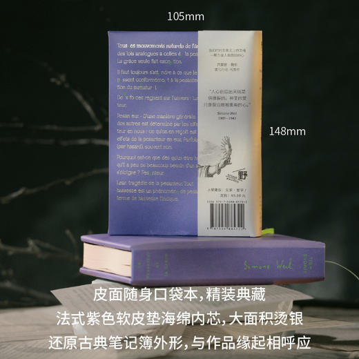 重负与恩典 | 爱、勇气与行动的女性哲学家，一颗为全人类跳动的心！ 商品图2