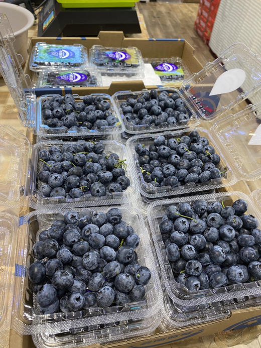 宏丰精选   云南蓝莓，果粉足，口感纯甜，活动价9.9元2盒 商品图1