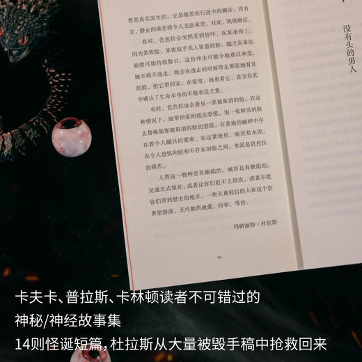 恐慌集（杜拉斯的天才女友，写后即焚的地下作家，仅存神秘奇书，华语世界首译！卡夫卡、普拉斯、卡林顿读者不可错过的神秘/神经故事集） 商品图5