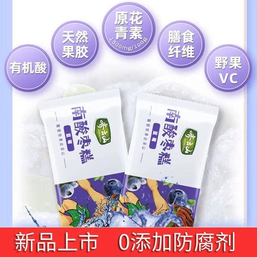 齐云山蓝莓酸枣糕126g 商品图3
