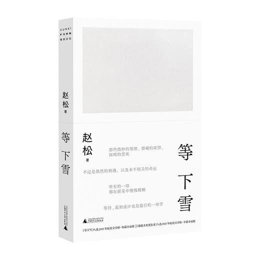 等下雪（赵松全新小说集，收录“收获文学榜”获奖作品。在一片空茫中，等待一场也许永远不会到来的雪） 商品图0