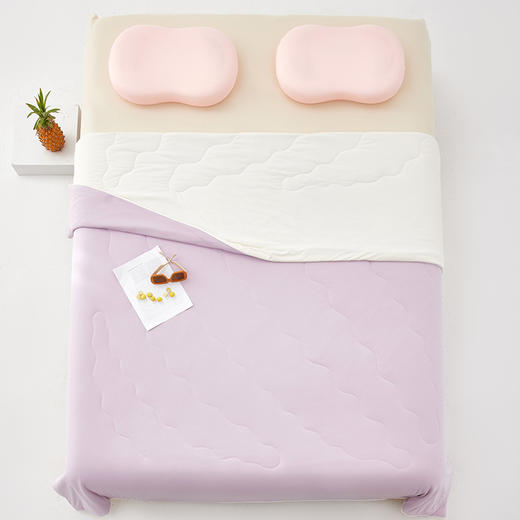 西域楼兰冰皮凉感丝双色蚕丝夏凉被【放心甄选】 商品图5