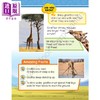 【中商原版】Evan Moor Animals Amazing Earth Adventures and Activities 奇妙的地球冒险 动物 4-5岁 美国教辅原版evanmoor 商品缩略图3