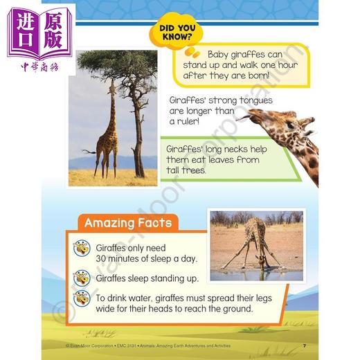 【中商原版】Evan Moor Animals Amazing Earth Adventures and Activities 奇妙的地球冒险 动物 4-5岁 美国教辅原版evanmoor 商品图3