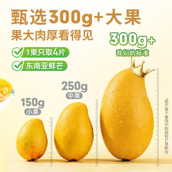 百草味芒果干100g/袋 水果干果脯特产食品办公室零嘴小吃休闲零食烘焙 商品图0