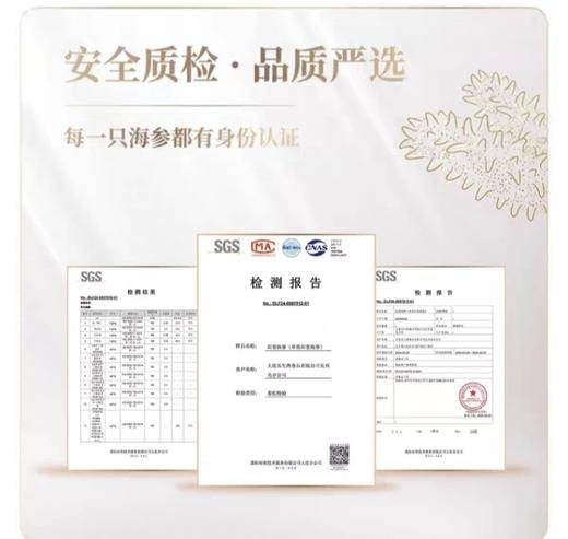 长生岛鲜食海参10-12头/盒500g 商品图5