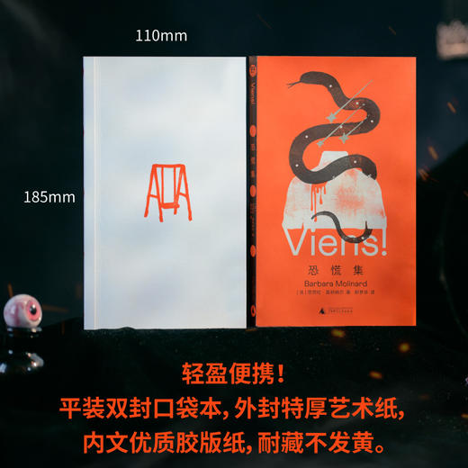 恐慌集（杜拉斯的天才女友，写后即焚的地下作家，仅存神秘奇书，华语世界首译！卡夫卡、普拉斯、卡林顿读者不可错过的神秘/神经故事集） 商品图2