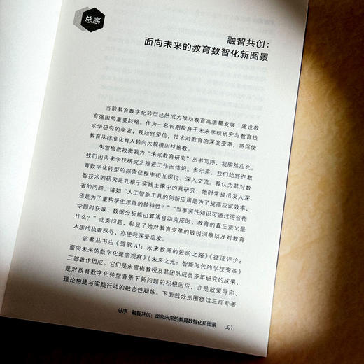 驾驭AI 未来教师的进阶之路 大夏书系 教师专业发展 商品图6