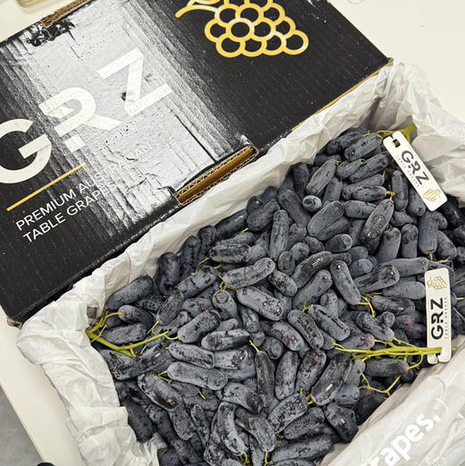 石家庄优选仓库速达，澳洲黑手指 黑提GRZ，果肉颗颗饱满，皮薄脆甜，高甜无籽，2斤散装称重 商品图10