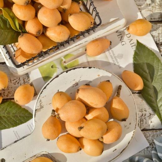 丨有机丨米易高山枇杷 四川攀枝花米易县无污染山地种植 商品图1