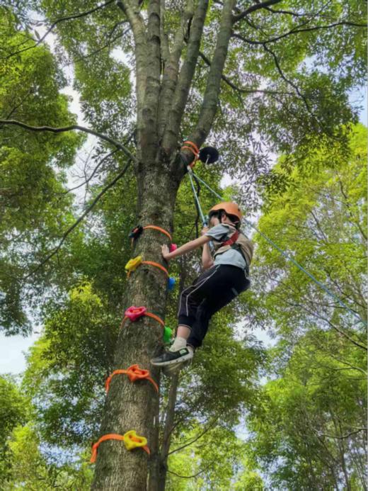 五一活动  造船吧！少年造船工程师计划 商品图1