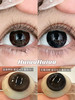 【新品大直径半年抛】SunnyDollCon-无辜浣熊/圆崽熊饼-14.5mm【半年抛 0-800度 不含525/575】 商品缩略图0