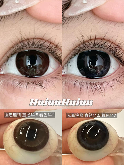 【新品大直径半年抛】SunnyDollCon-无辜浣熊/圆崽熊饼-14.5mm【半年抛 0-800度 不含525/575】 商品图0