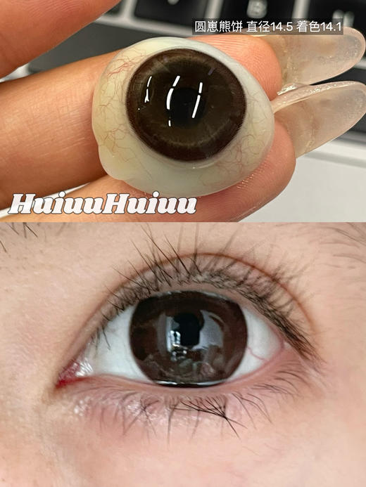 【新品大直径半年抛】SunnyDollCon-无辜浣熊/圆崽熊饼-14.5mm【半年抛 0-800度 不含525/575】 商品图1