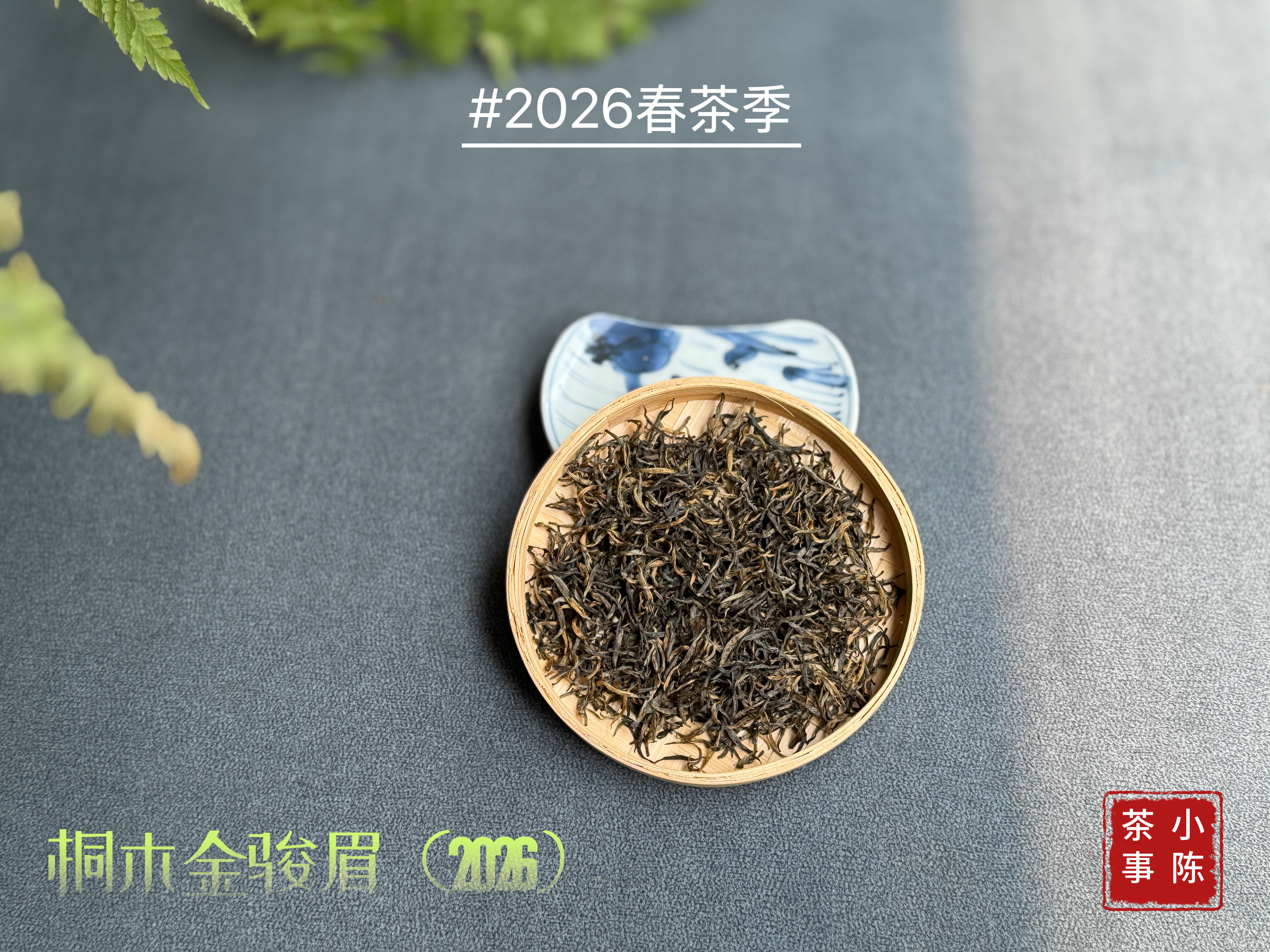 【预售】2026金骏眉，绽放在一个盛日寻芳泗水滨的春季，果香馥郁而花香悠长，汤水丰腴多汁