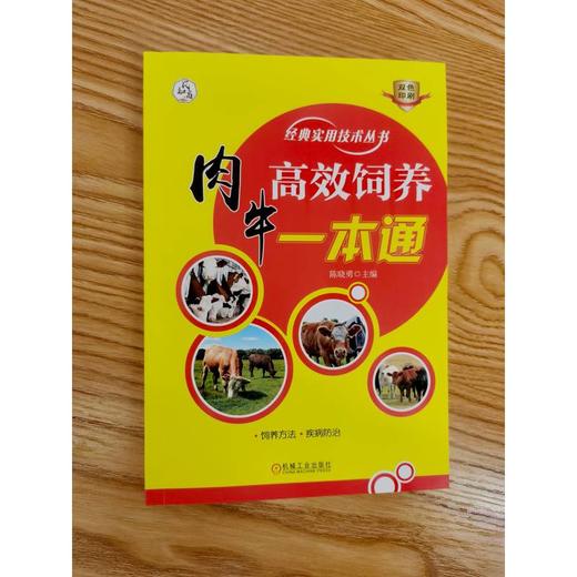 官网 肉牛高效饲养一本通 陈晓勇 肉牛场规划建设 饲料调制 饲养管理 常见病防治 肉牛高效饲养教程书籍 商品图1