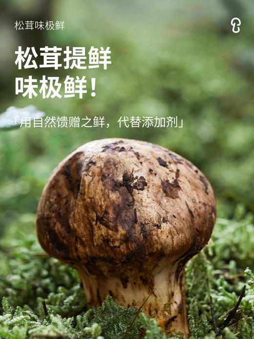 松鲜鲜松茸味极鲜1L*2瓶 商品图1