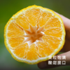 艾格吃饱了2026年四川柠檬不知火果香清冽 商品缩略图1