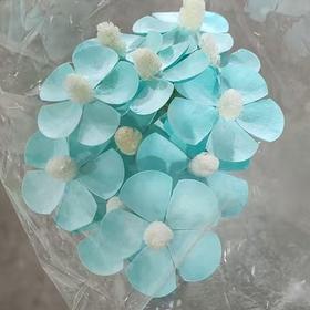 永生花材丨紫罗兰