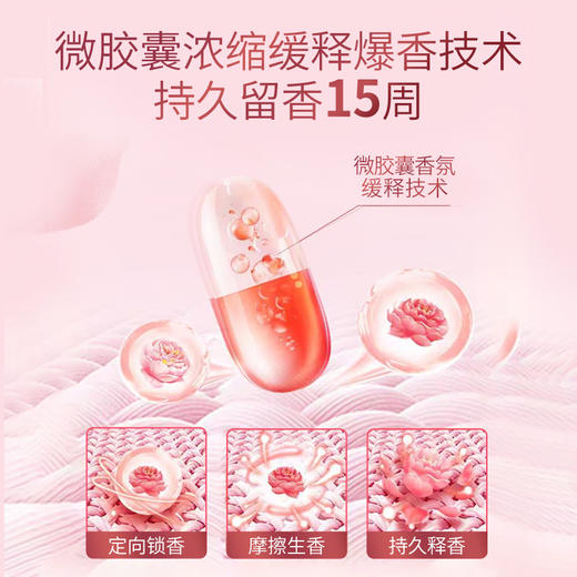 蔬果园天然精油长效留香珠（维多利亚玫瑰与染井吉野樱花）228g 商品图3