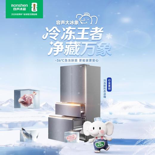 容声冰箱 605P60FZGBK-LY51雾光印  605升大容量 60CM超薄平嵌 60CM超薄平嵌 商品图0