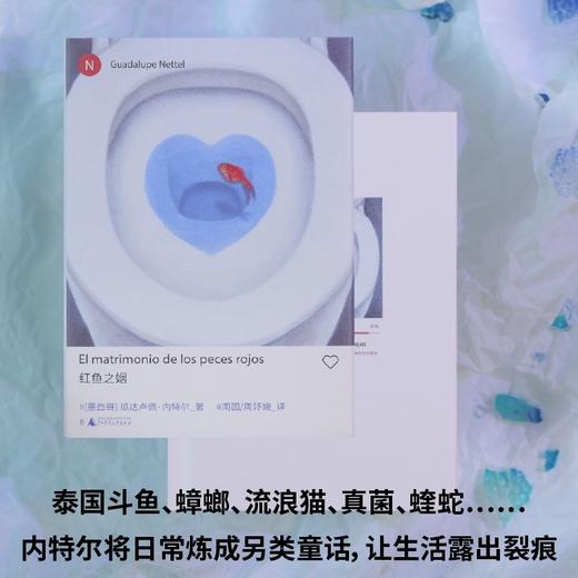 瓜达卢佩·内特尔作品集 独生女儿/红鱼之姻/真正的孤独 入围国际布克奖短名单 商品图10