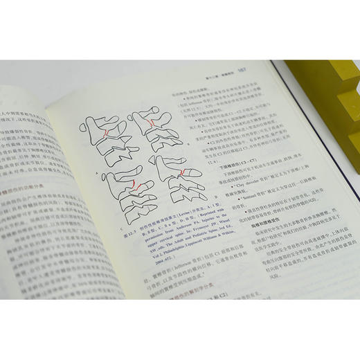 法医神经病理学精要 [美]胡安·C.特龙科索[美]安娜·卢比奥[美]戴维·R.福勒著 法律出版社 商品图4