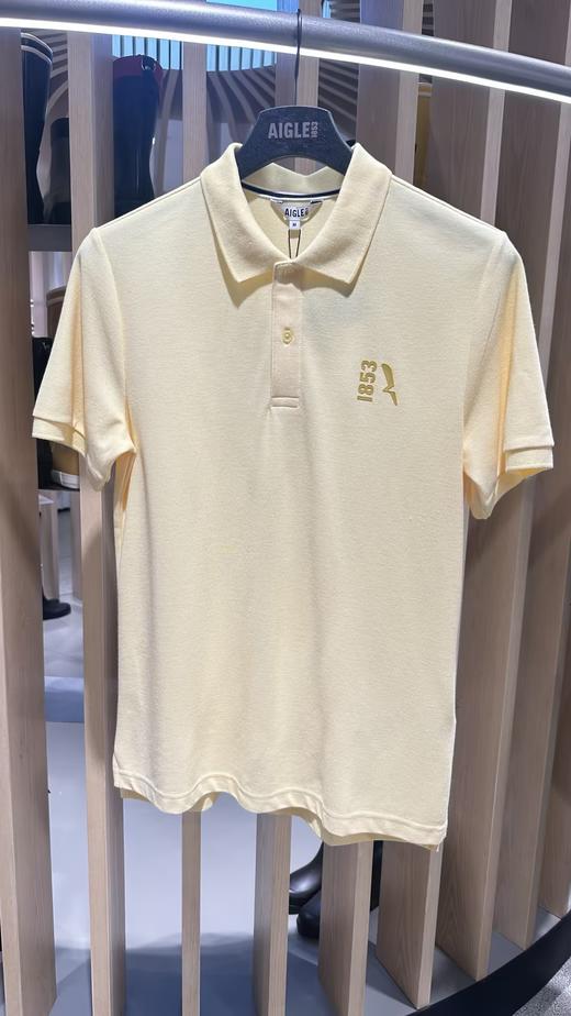 艾高 短袖POLOT恤男  BQ243-F . 商品图0