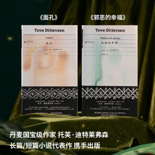 邪恶的幸福（《哥本哈根三部曲》作者托芙·迪特莱弗森短篇代表作，书写女性生活中的希望与失望，展现困于婚姻制度和情感关系的人类处境） 商品图5