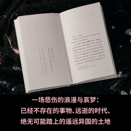 献灯使（连年诺奖赔率榜高位作家多和田叶子，温柔书写反乌托邦末世小说集：日本沉没、人类灭绝，用语言灵力塑造灾后文学顶点，获美国国家） 商品图3