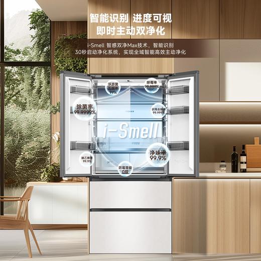 容声冰箱 516P60FZBAW-LD51素月印  双净MAX双系统制冰风冷无霜法式冰箱 商品图1