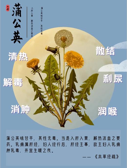 专治“炸毛小情绪”！宝芝林蒲公英玫瑰清茶3盒  26Y04069- 商品图10