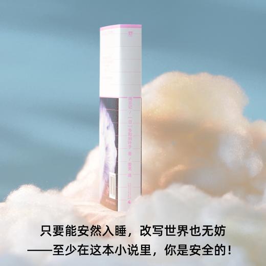 捕云记（《献灯使》系列，世界文学新标杆多和田叶子魅惑奇作，亲身经历改编小说！给逃避型人格和自毁冲动的保留地，现代人最后一场梦与冒险 商品图6