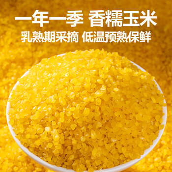 北纯五常香糯玉米碴 3斤装 玉米糁 大碴粥  免浸泡 易煮易熟（大碴） /粮油调味 /杂粮 /谷米类 商品图1