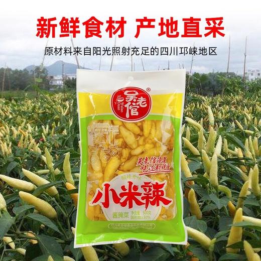吴老倌泡椒小米辣四川正宗商用母水酸小米椒野山椒泡椒辣椒朝天椒 商品图2