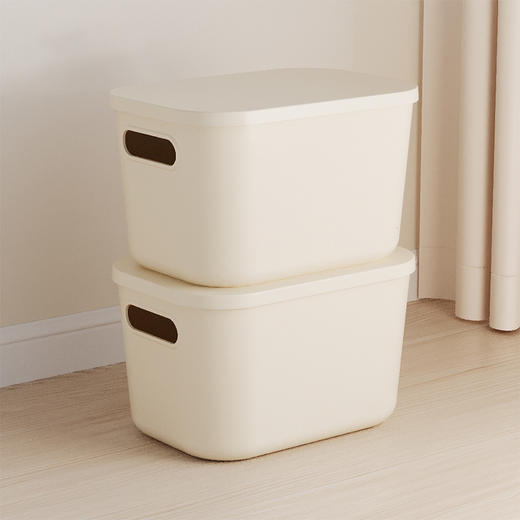 全格收纳箱大号两只装 商品图0