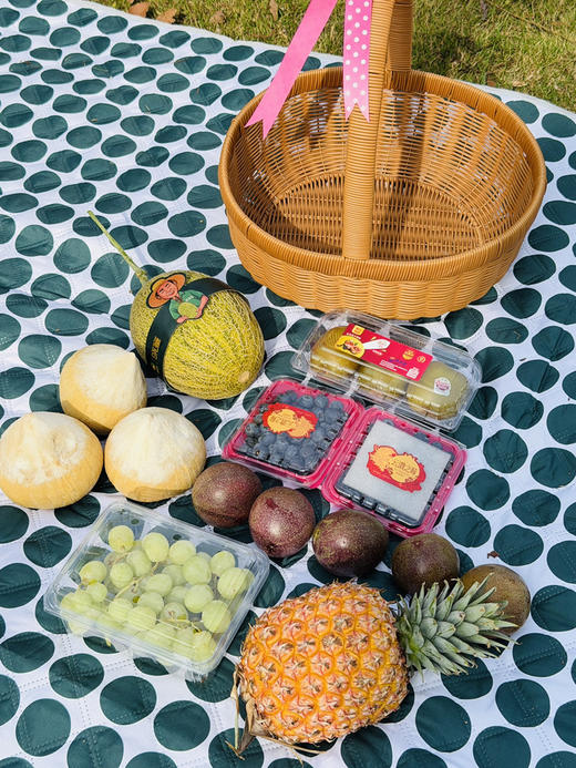 春游！K果推荐❗️家庭水果套餐 商品图1