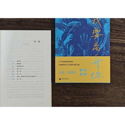 我要离开你（著名作家苏童、徐则臣等联袂推荐） 商品图2