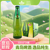 青岛啤酒 逸品纯生 330ml*24瓶 低温无菌膜过滤 口感清爽 酒液金黄透明 I啤酒 商品缩略图0