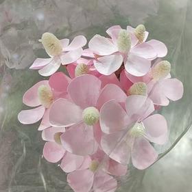 永生花材丨紫罗兰