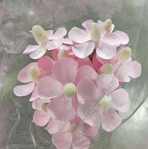 永生花材丨紫罗兰 商品图0