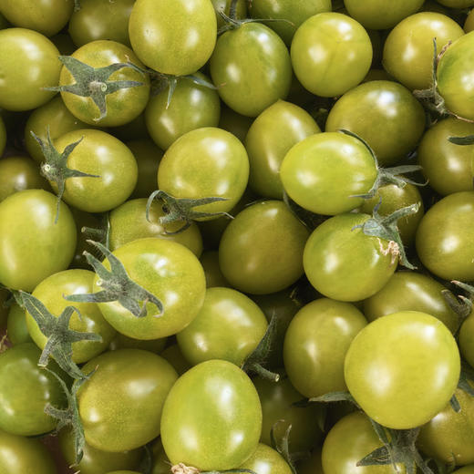 西昌青霞小番茄  一口一颗  清甜！咬开满是鲜 商品图2