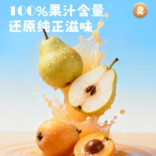 【首农】【摩奇】雪梨枇杷230ml*12 商品图1