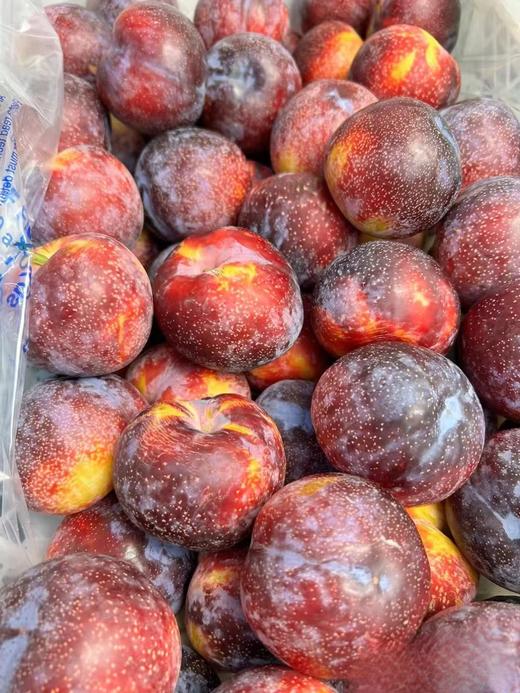 智力雪花李40# 高品质，脆爽口感  家庭装3斤装/5斤装 商品图4