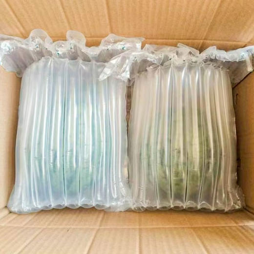 山东2K手撕小糖丸西瓜 当季新鲜水果 京东发货 商品图9